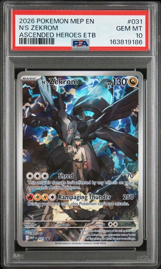 N's Zekrom