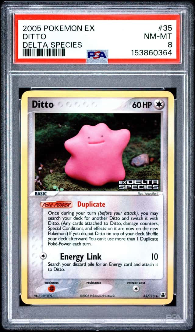 Ditto