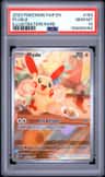 Plusle