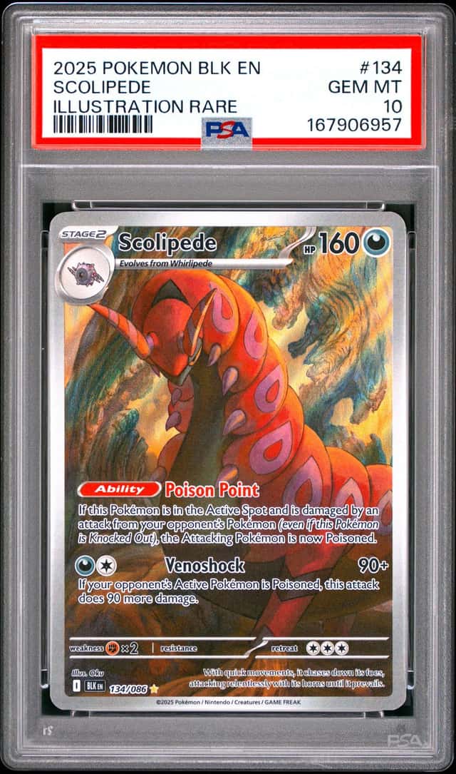 Scolipede