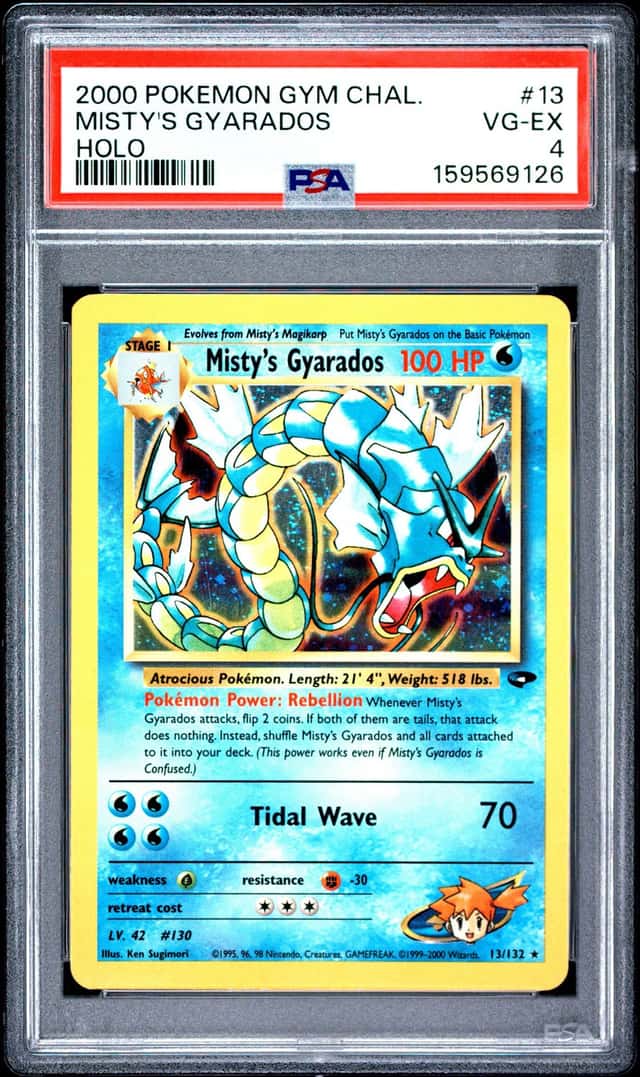 Misty's Gyarados
