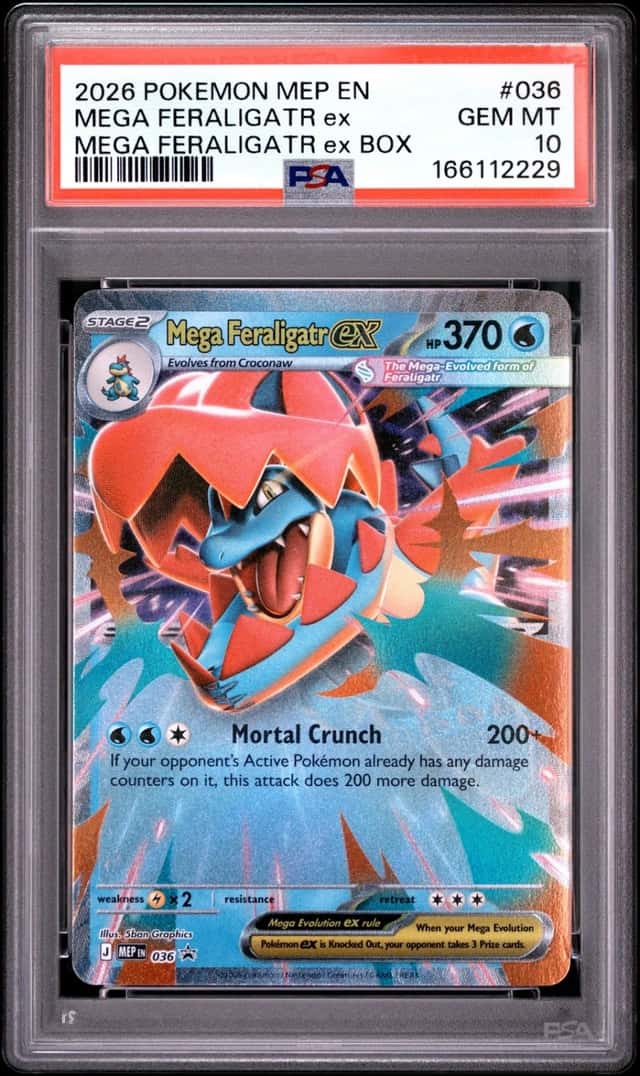 MEGA FERALIGATR ex
