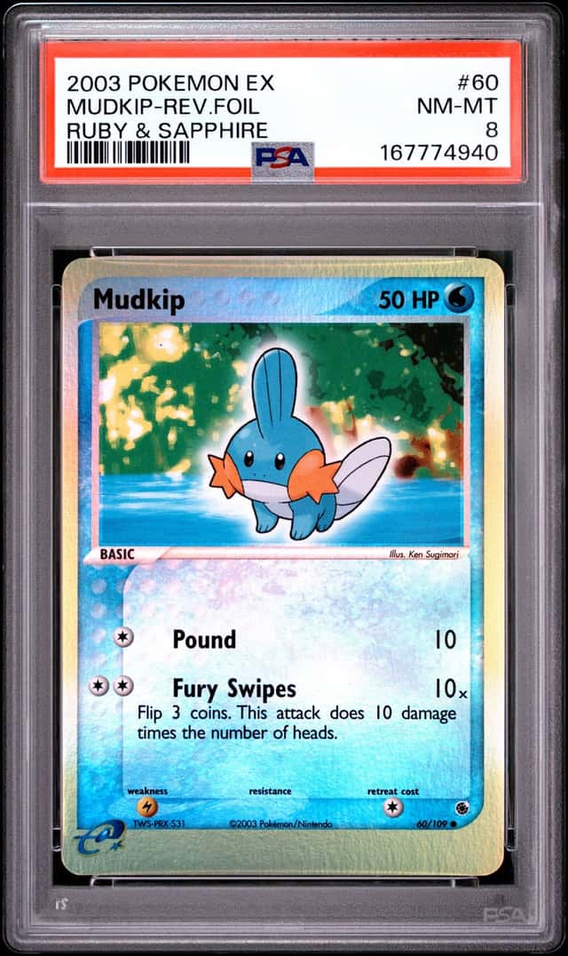 Mudkip