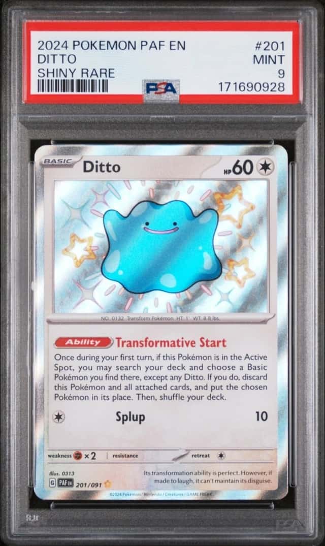 Ditto