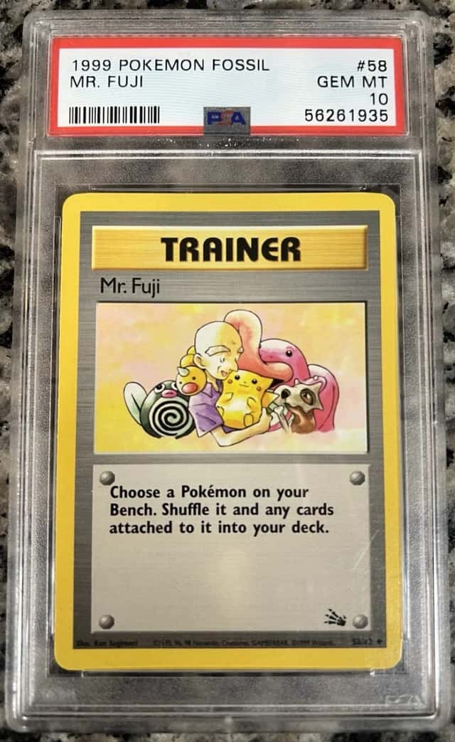 Mr. Fuji
