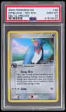 Swellow