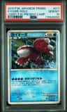 Kyogre