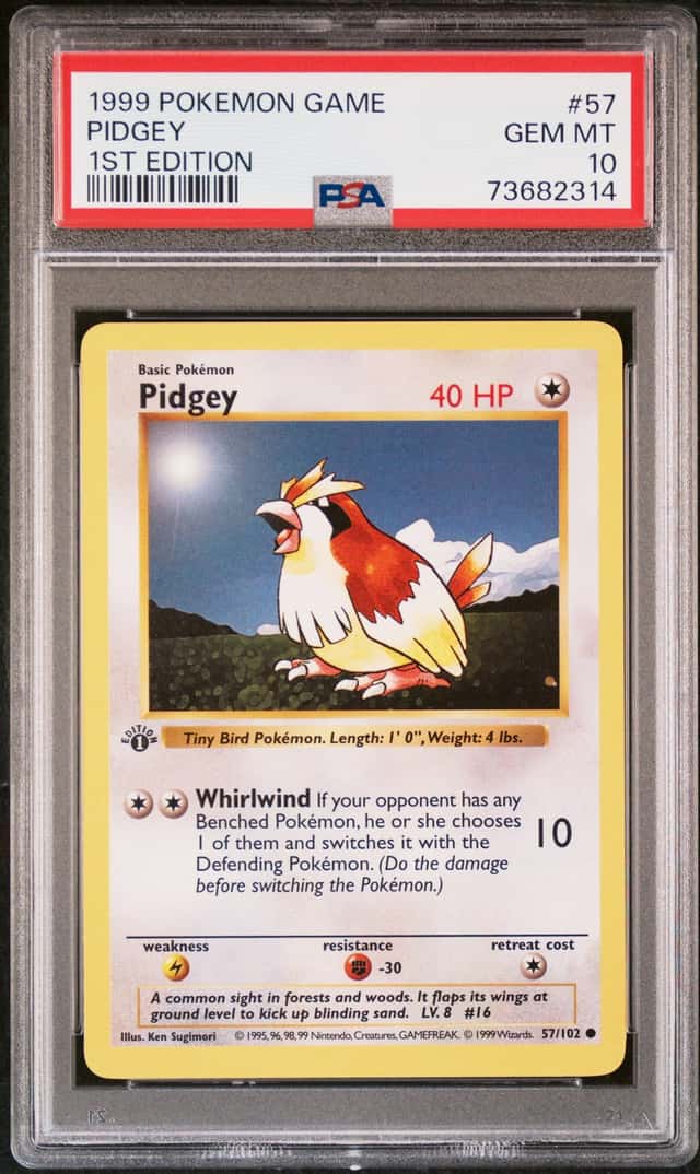 Pidgey