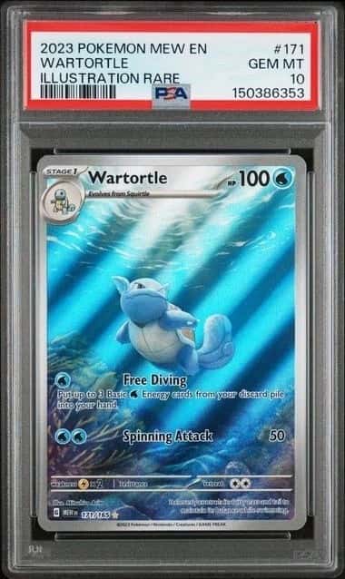 Wartortle