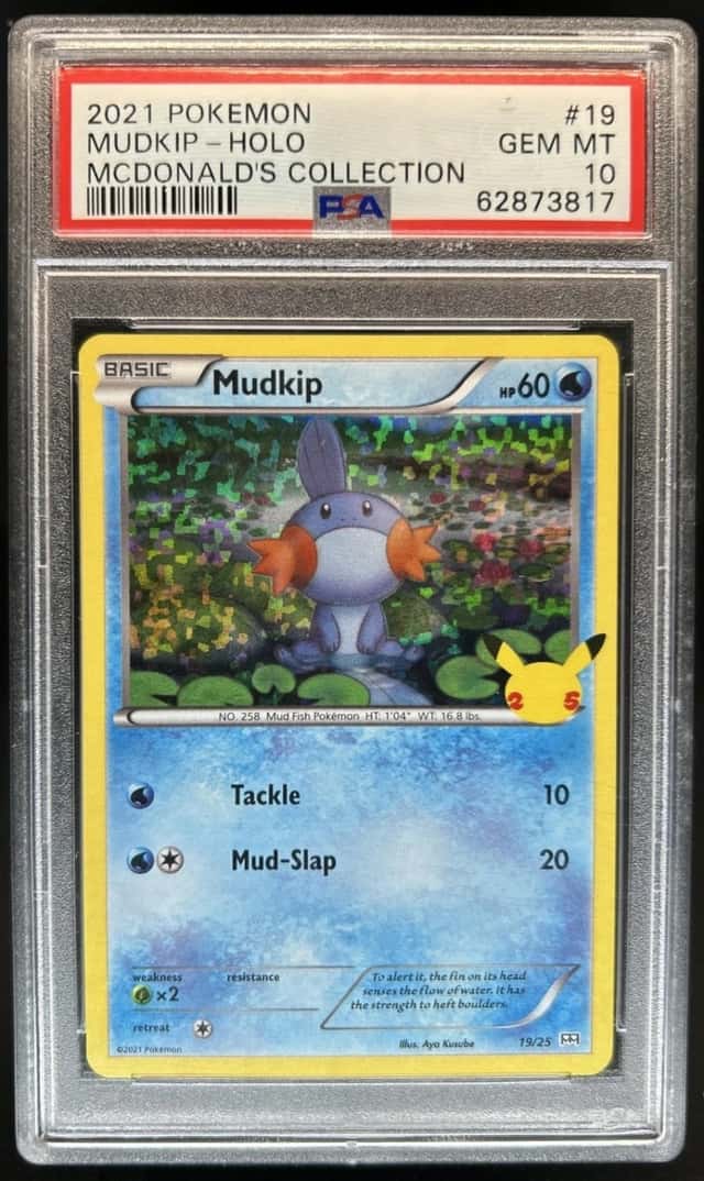 Mudkip
