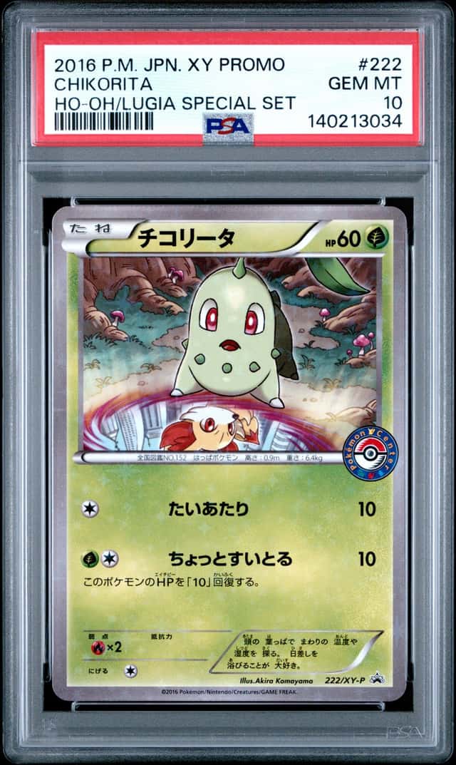 Chikorita