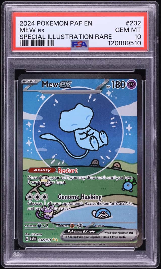 MEW ex