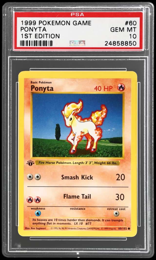 Ponyta