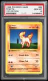 Ponyta