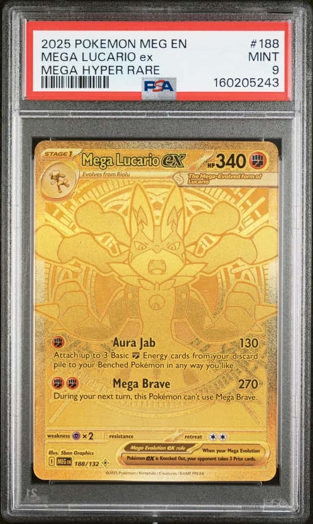 MEGA LUCARIO ex