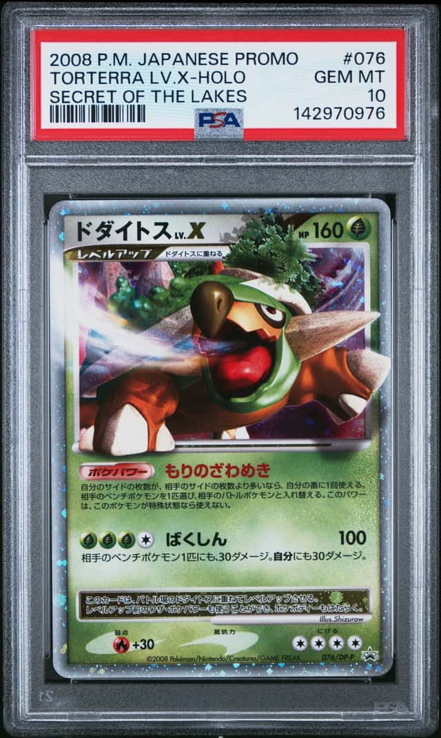 Torterra Lv X