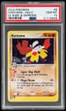 Hariyama