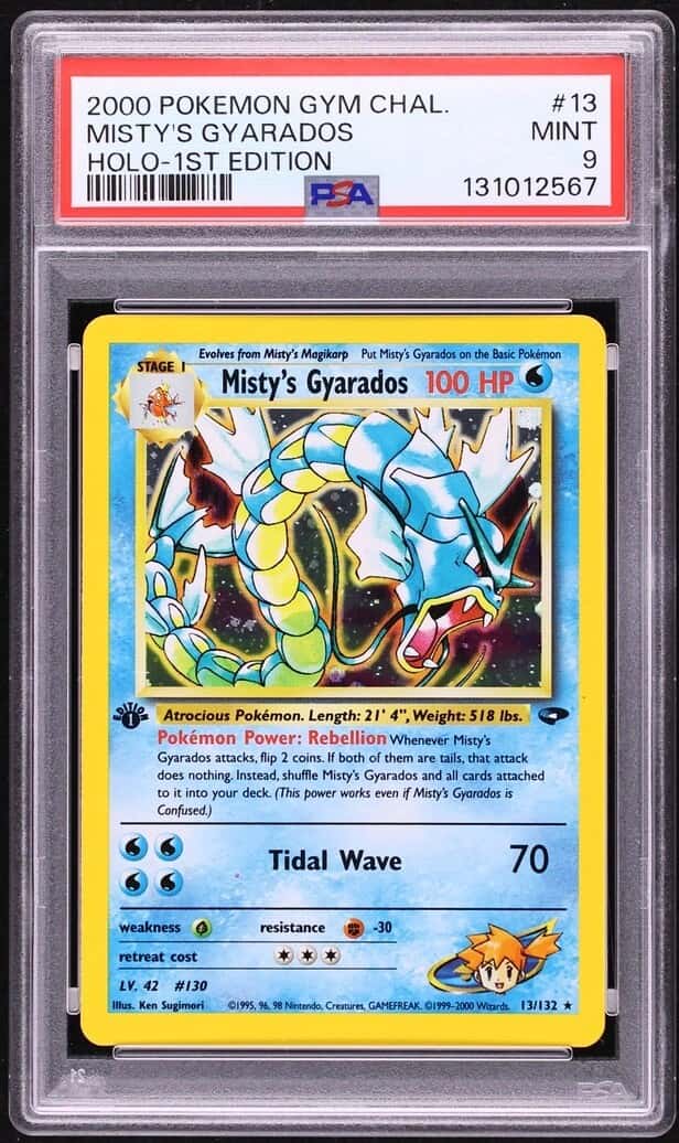 Misty's Gyarados