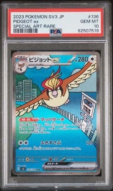 PIDGEOT ex