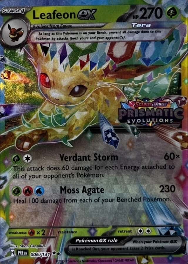 Holo · Box Exclusive Surprise