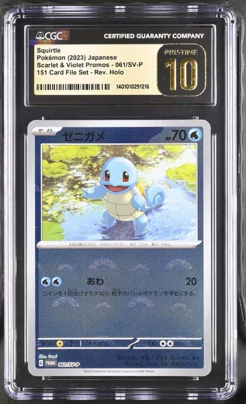 Squirtle