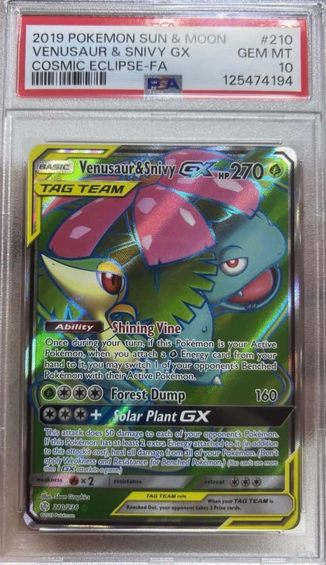 Venusaur & Snivy GX