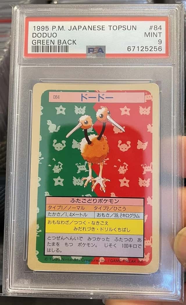 Doduo