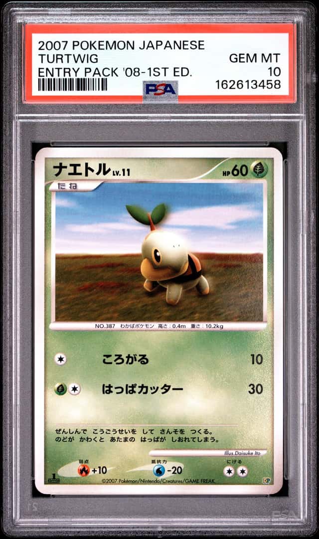 Turtwig