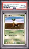 Turtwig