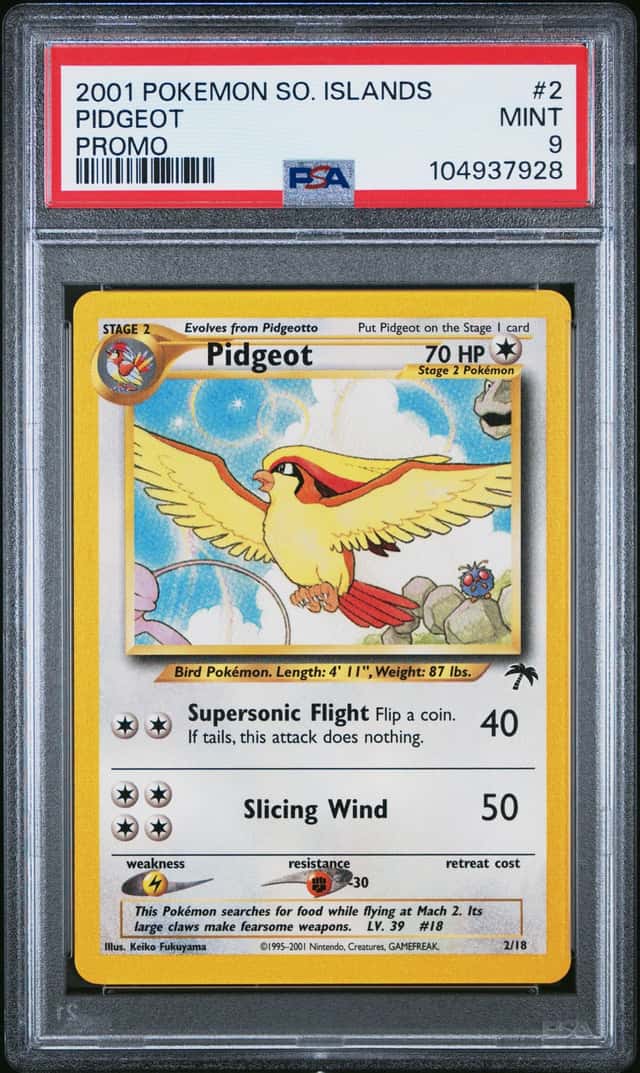 Pidgeot