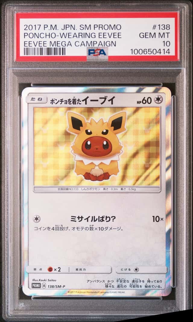 Poncho-wearing Eevee