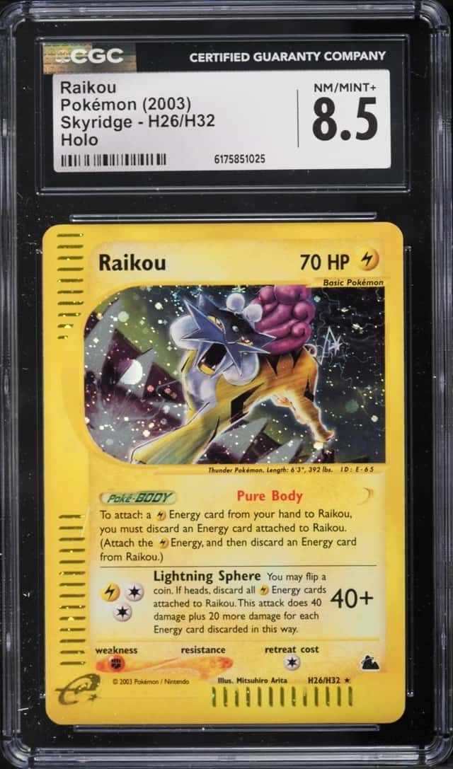 Raikou