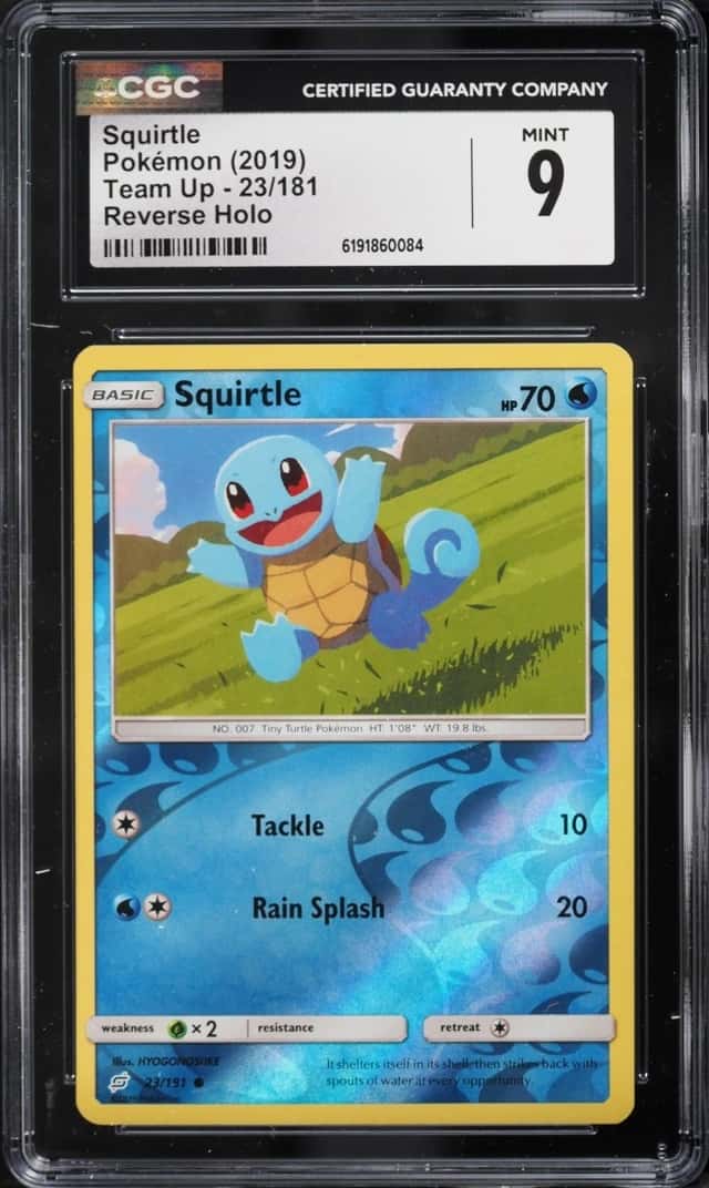 Squirtle