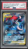 Greninja & Zoroark Gx