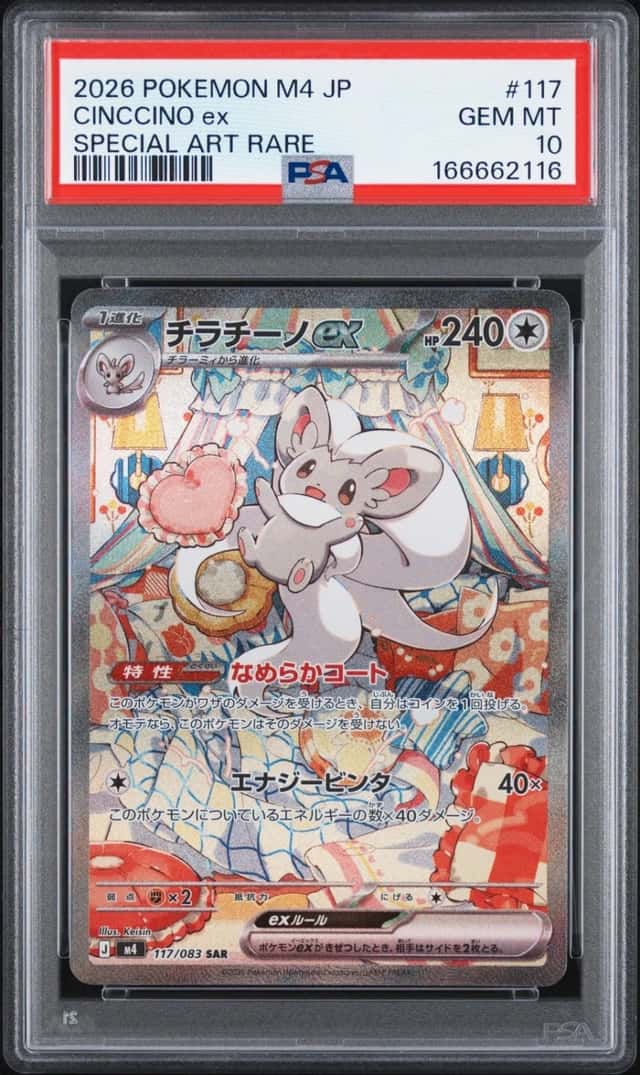 CINCCINO ex