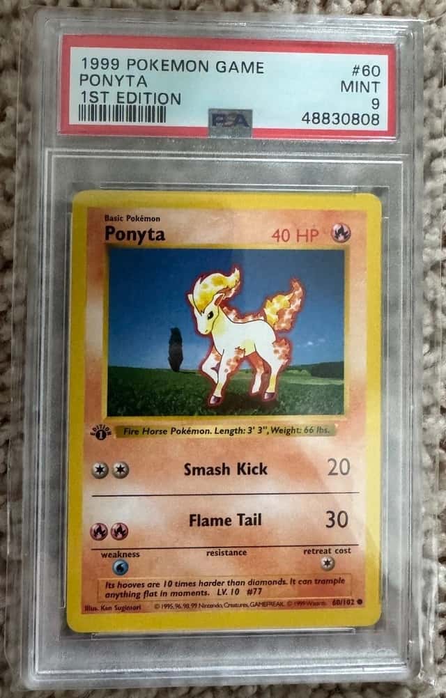 Ponyta