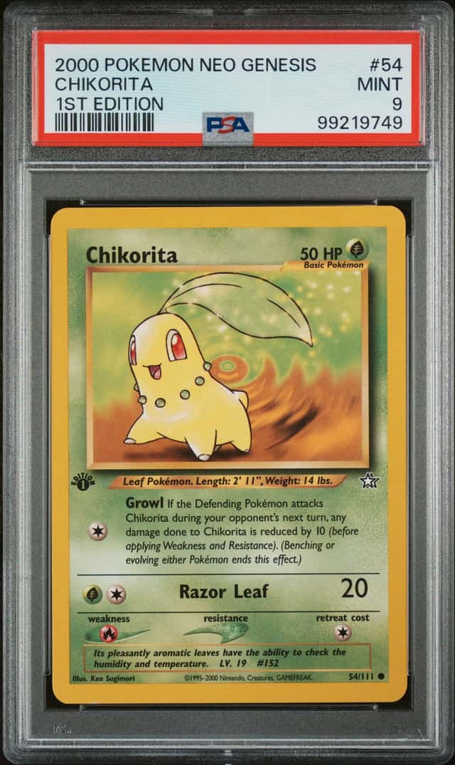 Chikorita