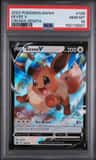 Eevee V