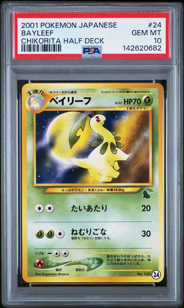 Bayleef
