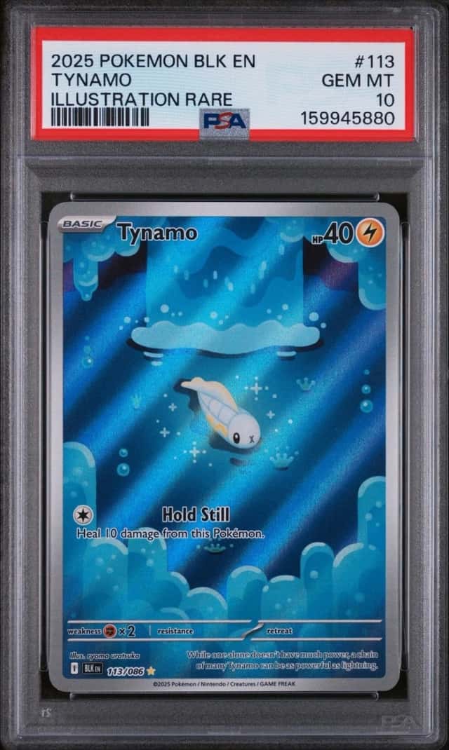 Tynamo