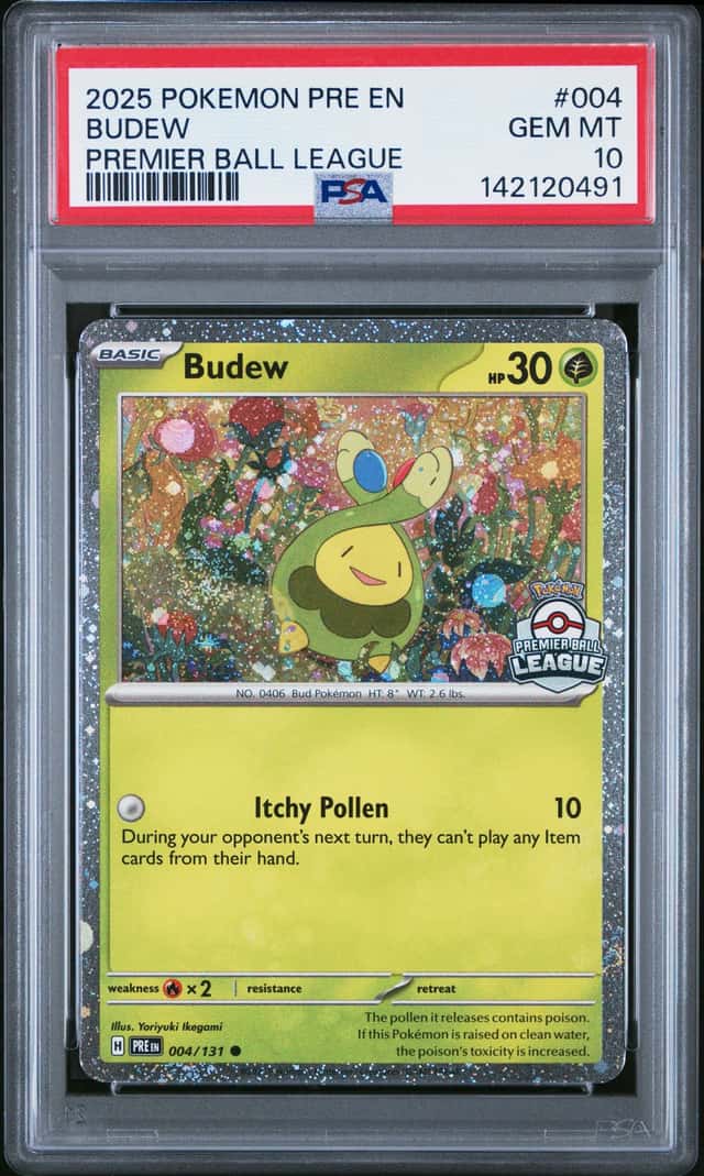 Budew