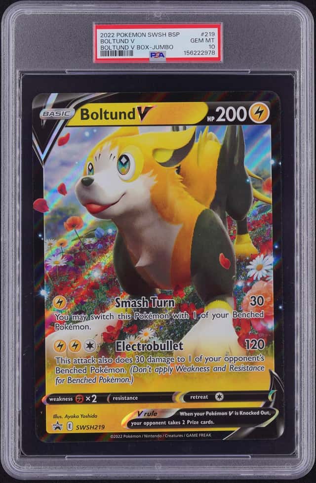 Boltund V