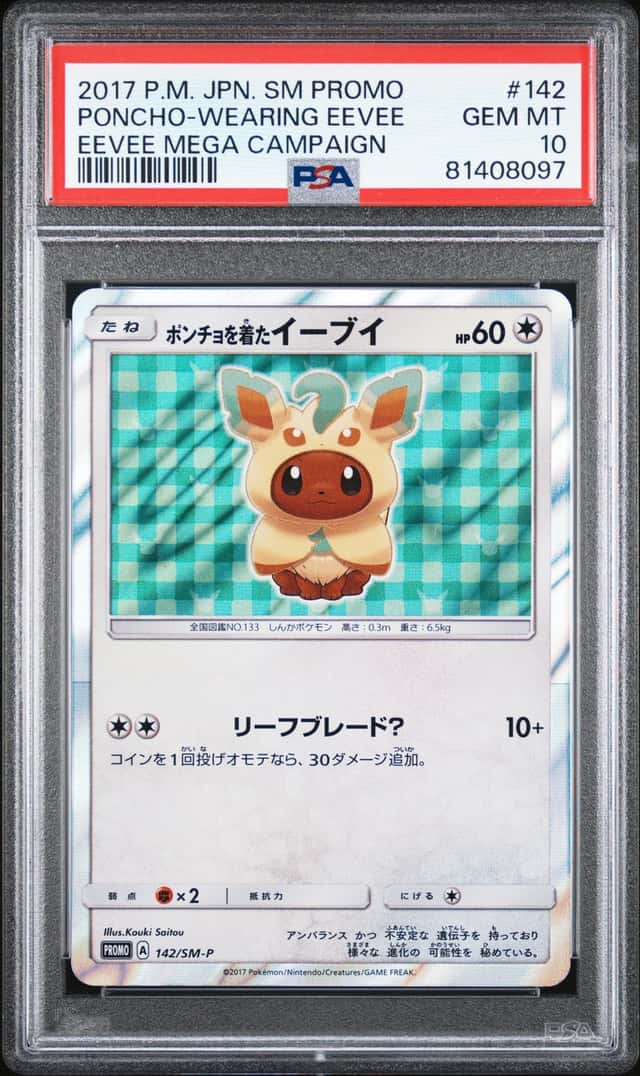 Poncho-Wearing Eevee