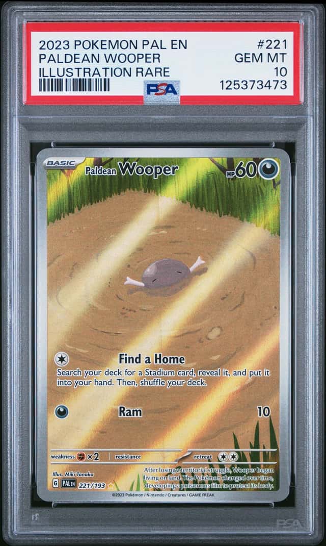 Paldean Wooper