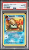 Omanyte
