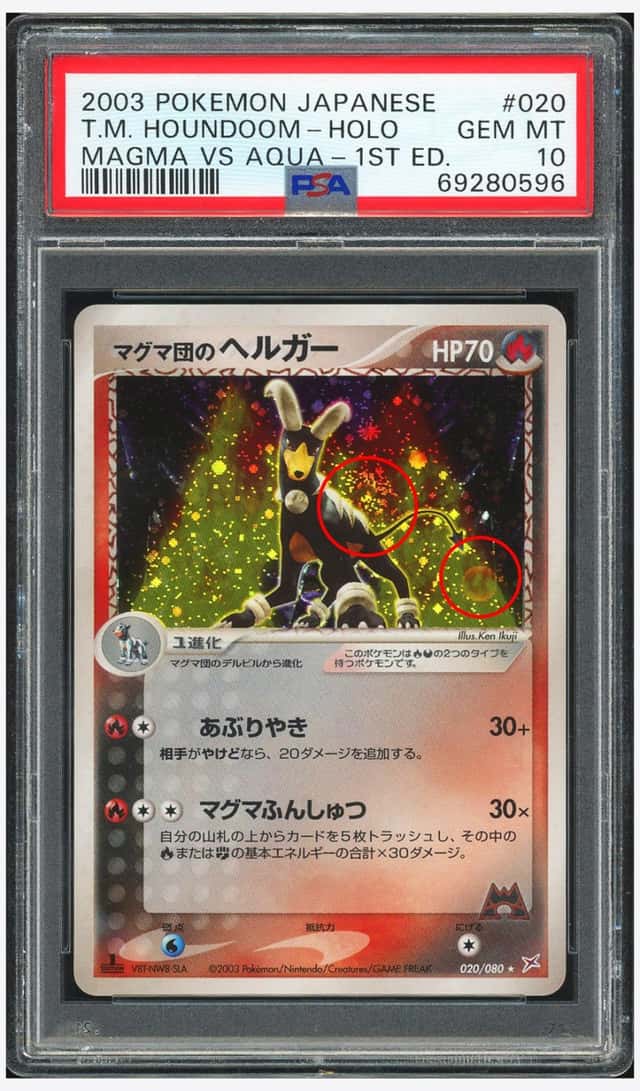 Magma's Houndoom