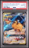 Raichu & Alolan Raichu Gx