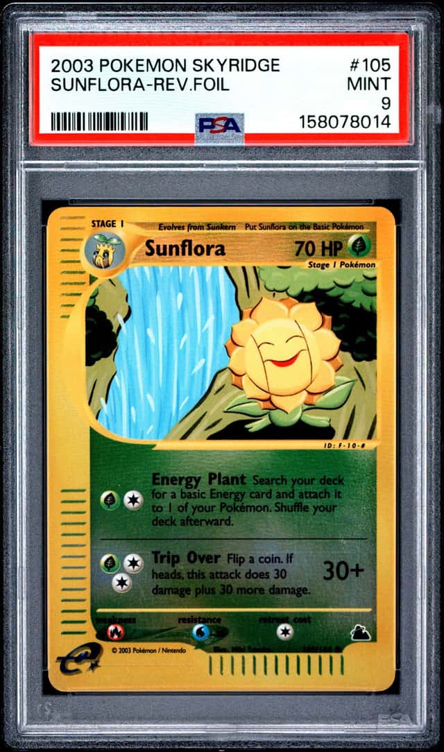 Sunflora