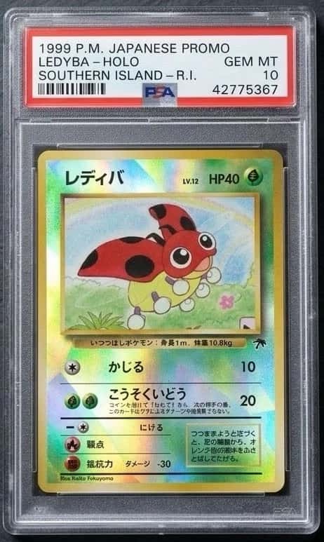 Ledyba