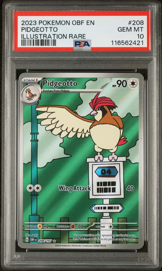 Pidgeotto